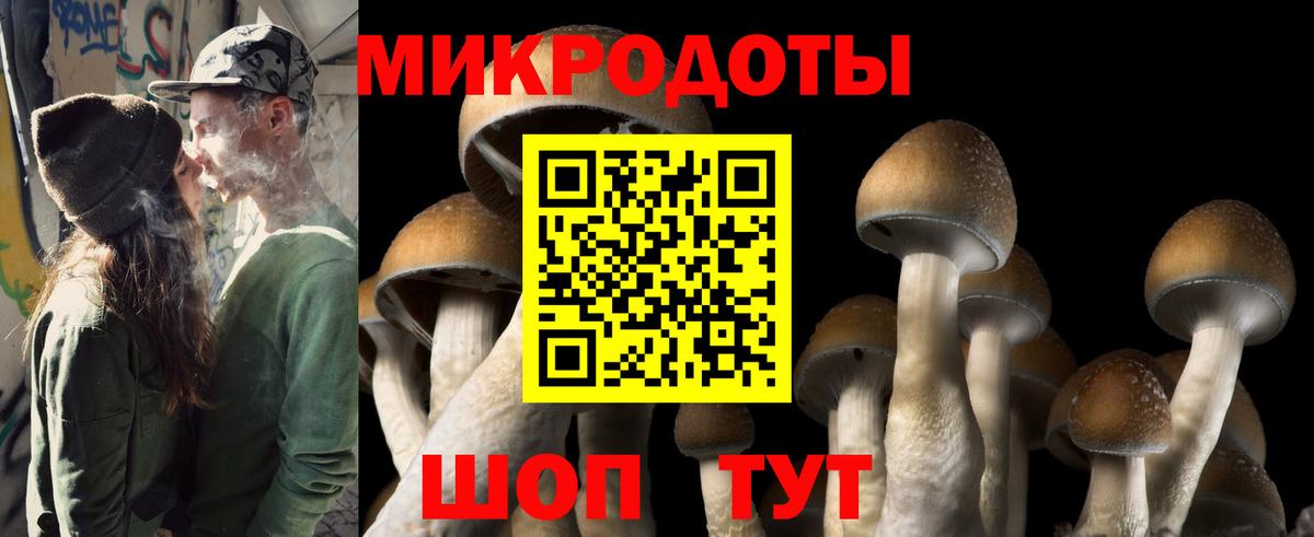 Галлюциногенные грибы MAGIC MUSHROOMS Владикавказ
