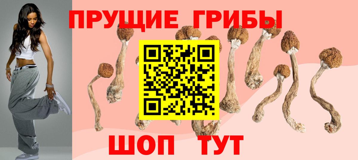 Псилоцибиновые грибы Psilocybe  Псилоцибиновые грибы Psilocybine cubensis  Вход с VPN  Владикавказ 